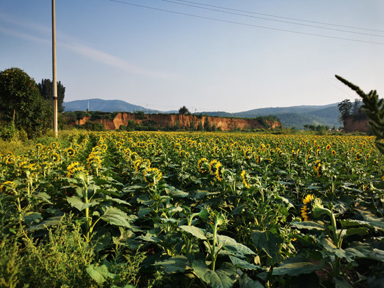 北京平谷夏各庄镇"疏整促"8万平方米打造浅山田园生态镇