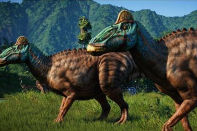 北京|北京“最坑”的公园，园内设施太过老旧，门票20游客不买账