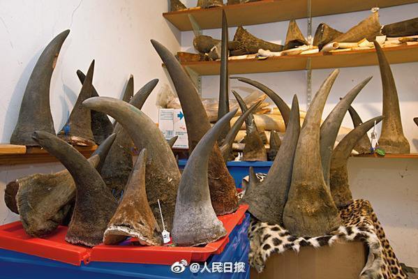 救救犀牛转发倡议拒绝买卖野生动物制品