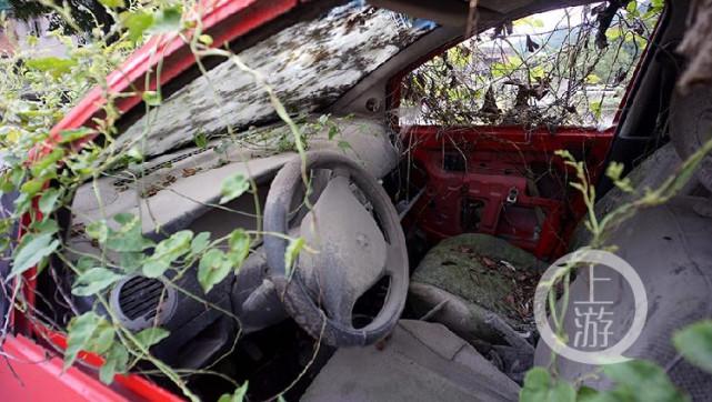 "绿色僵尸车"屹立路边数年_腾讯新闻