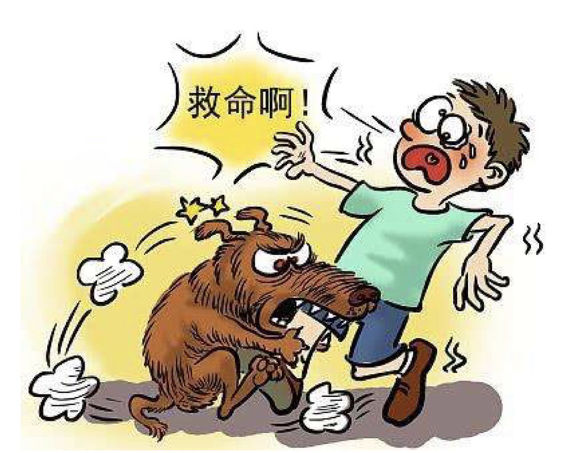 疫苗|狂犬病：只可预防，不可治！