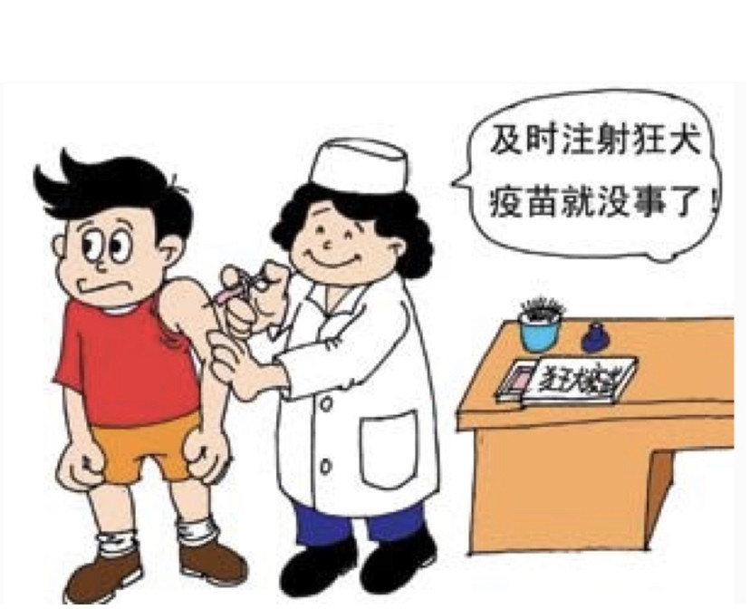 疫苗|狂犬病：只可预防，不可治！