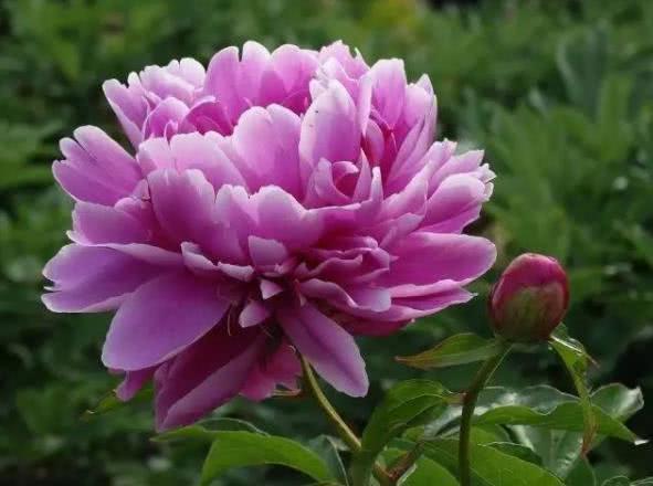 9月24号开始 有财神驾临 好运冲天 财财发事事顺的星座 星座 财神 射手座 吉星 运势 金牛座