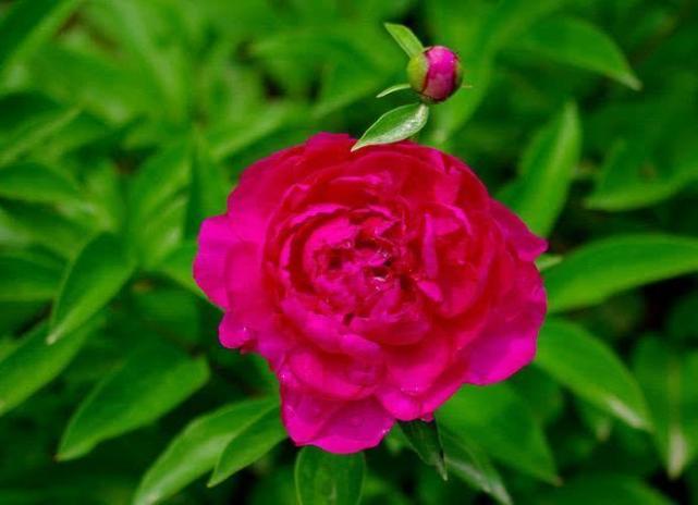 9月24号开始 有财神驾临 好运冲天 财财发事事顺的星座 星座 财神 射手座 吉星 运势 金牛座