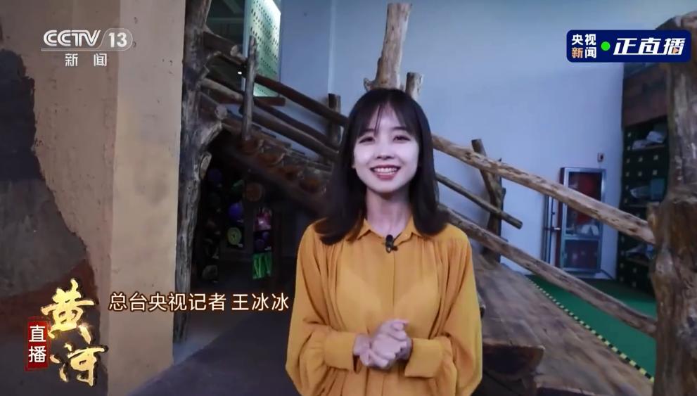 央视记者王冰冰因美貌被刷屏,镜头前她的衣服却太过