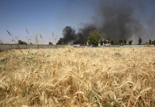 从气候等角度来说,叙利亚农业条件不是很理想,本身的粮食生产就难以