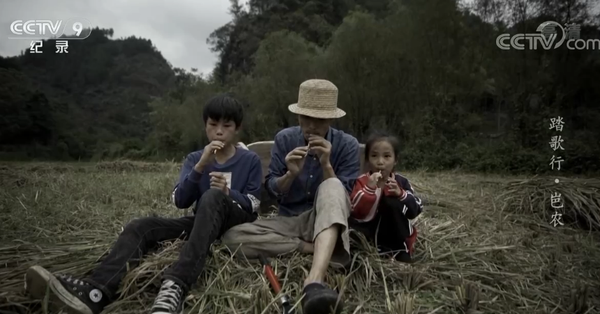 央视|8.6，流量都怕的央视镜头，被一群“土人”扛住了