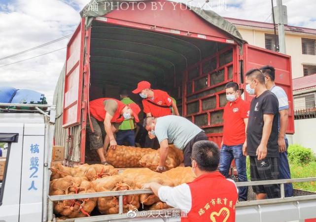 云南瑞丽解封了被困的重庆小伙却说志愿者的工作还要继续