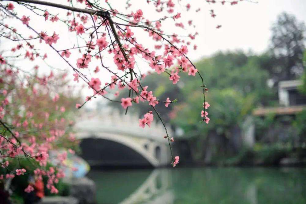 辛弃疾|辛弃疾《摸鱼儿·更能消几番风雨》