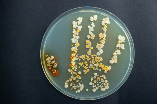 戴森|北京居家清洁“干”货分享，高效清洁选对工具是关键