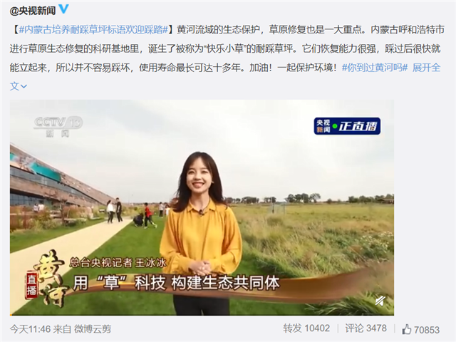 王冰冰|央视美女记者王冰冰登上热搜，可爱又好看，90后学霸名校毕业