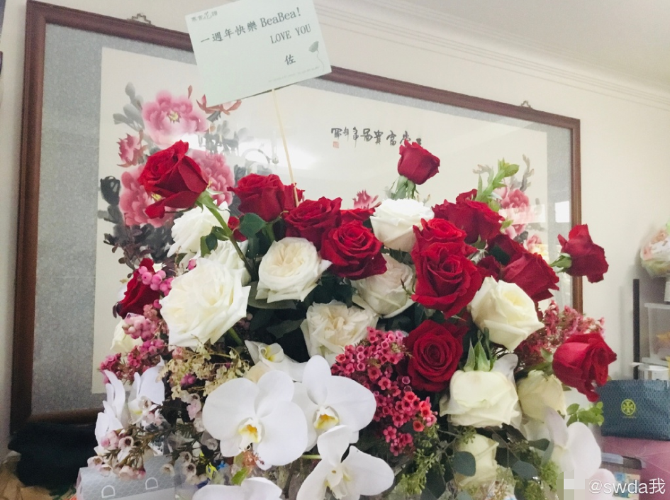 郭碧婷|已经生了？向太赴台隔离陪郭碧婷，干儿子喊话向佐官宣报喜