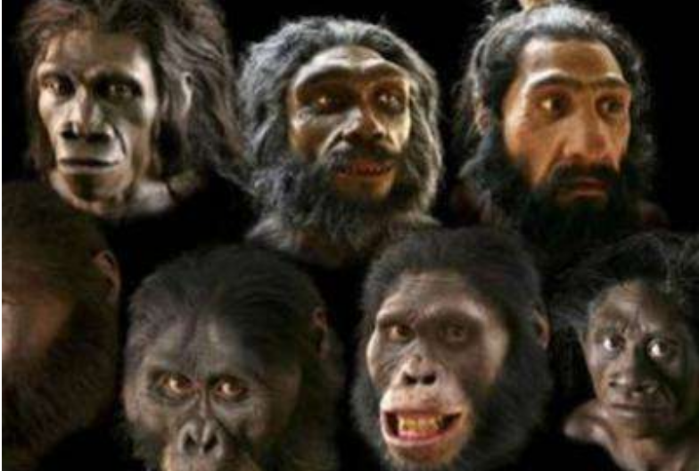 地球|人类真是“试验品”吗？科学家找到3条“证据”，或能揭秘答案