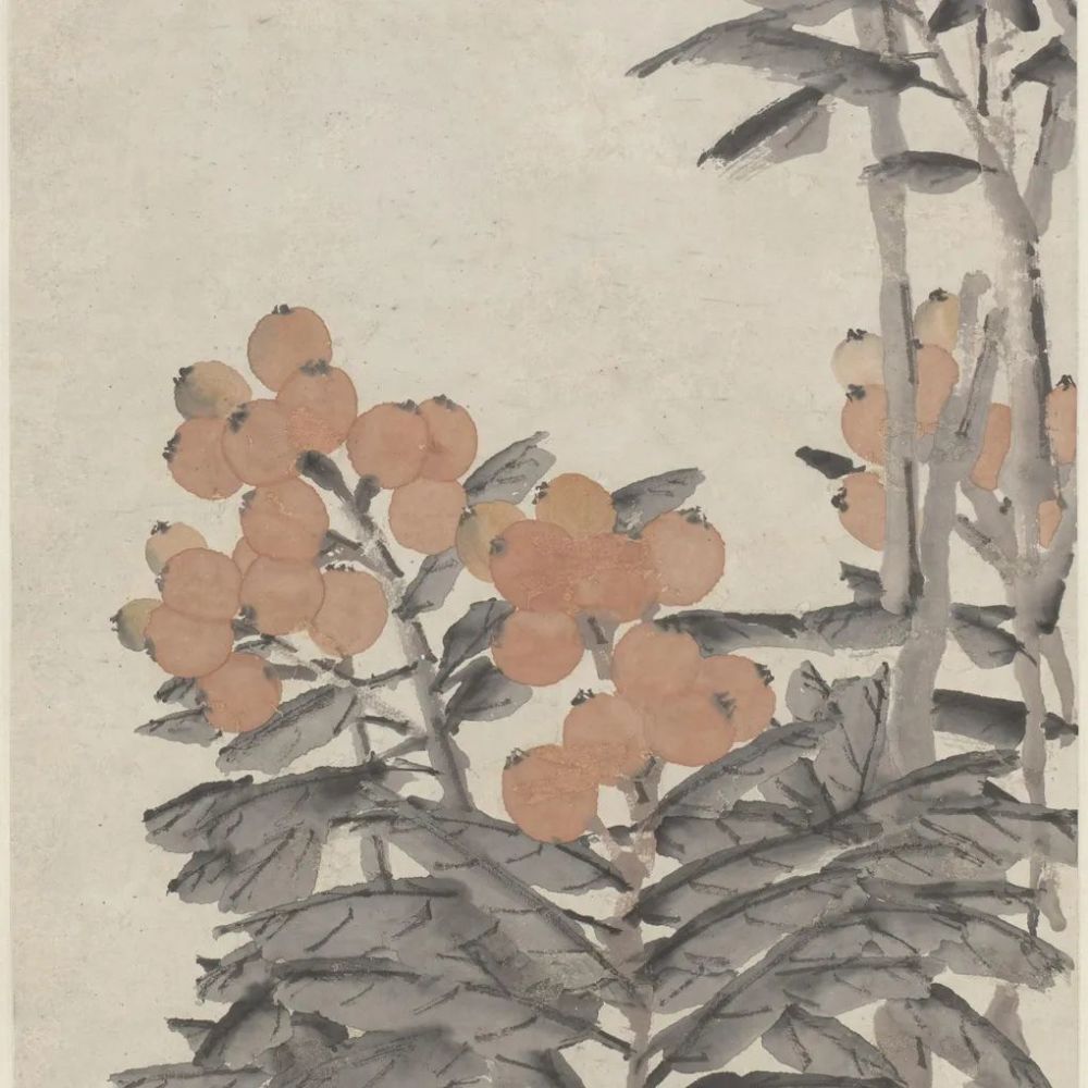 画家|《枇杷图》轴 虚谷-中国名画鉴赏语音讲解