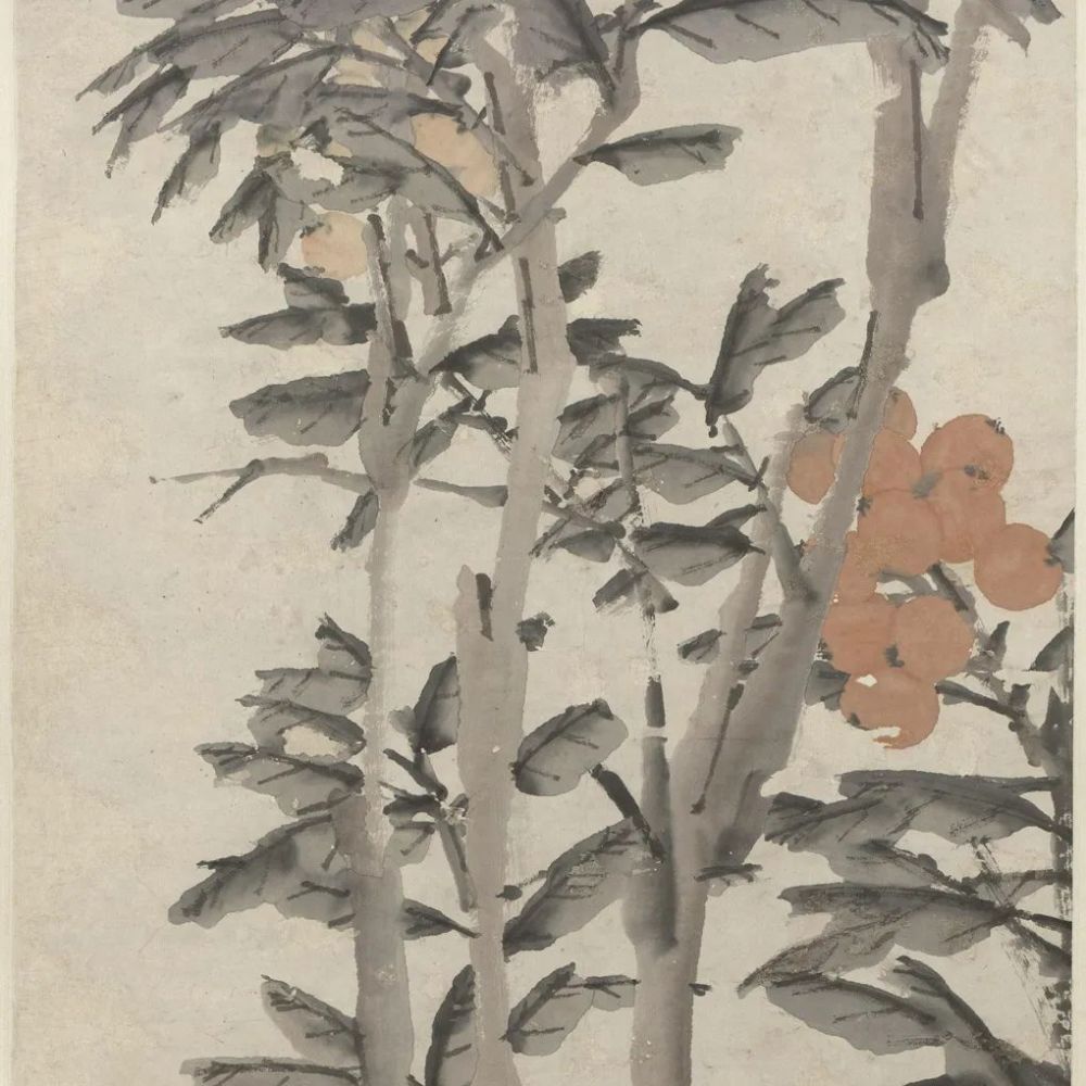 画家|《枇杷图》轴 虚谷-中国名画鉴赏语音讲解