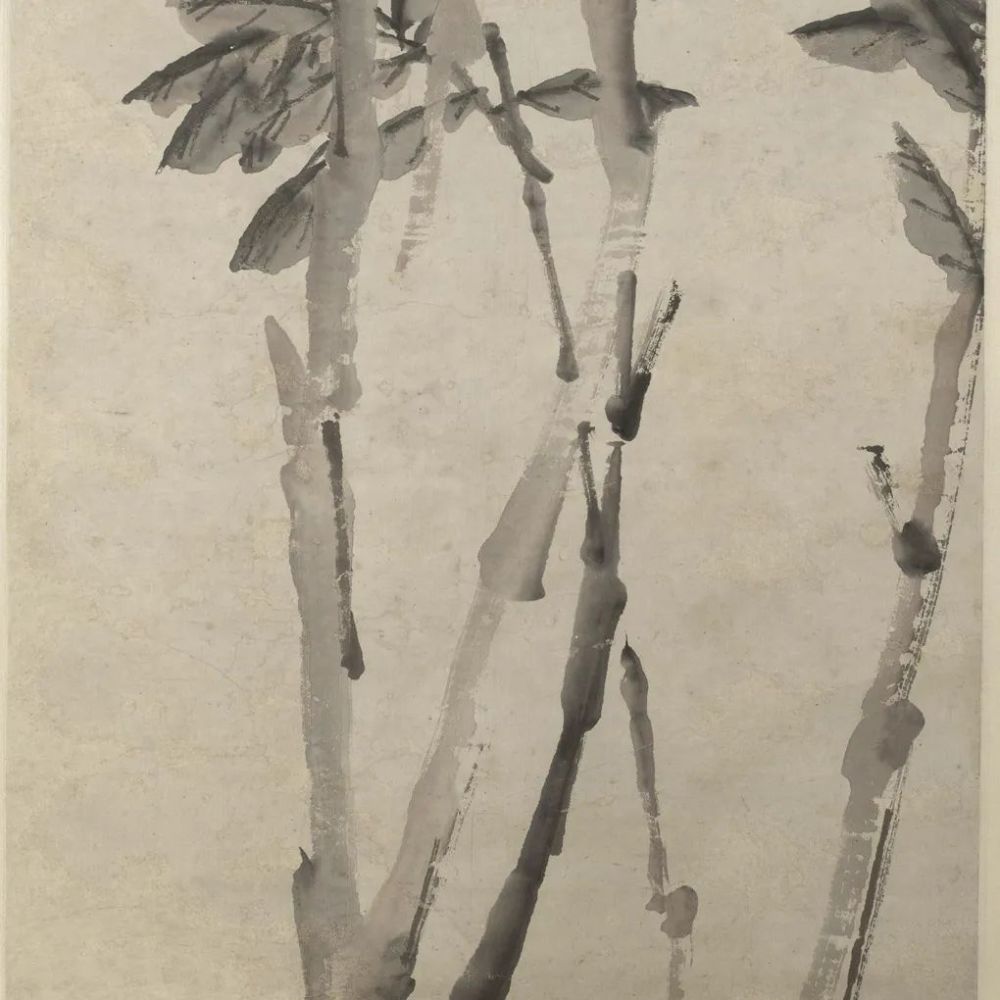 画家|《枇杷图》轴 虚谷-中国名画鉴赏语音讲解