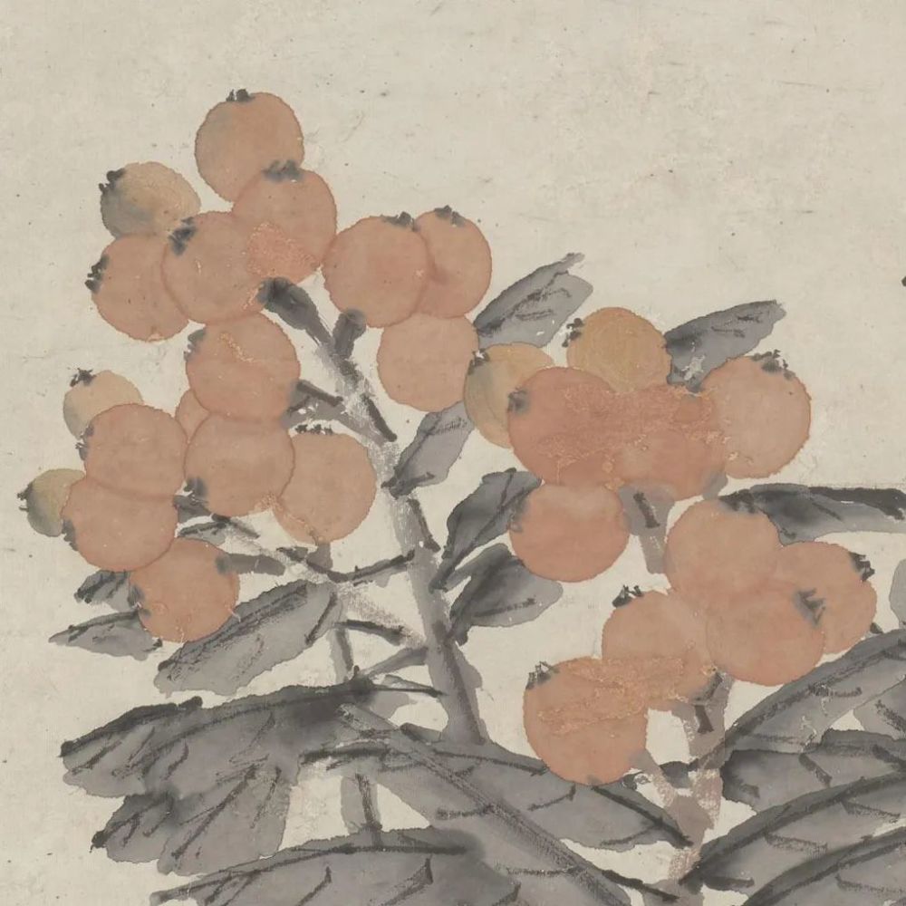 画家|《枇杷图》轴 虚谷-中国名画鉴赏语音讲解