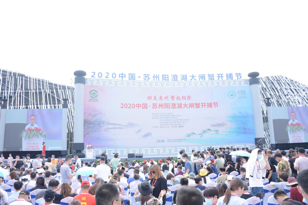 阳澄湖大闸蟹|阳澄湖大闸蟹开捕：两种蟹扣一种品质 科学养殖成主流