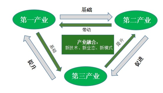 融合一二三產延伸牡丹產業鏈龍池牡丹是這樣做的