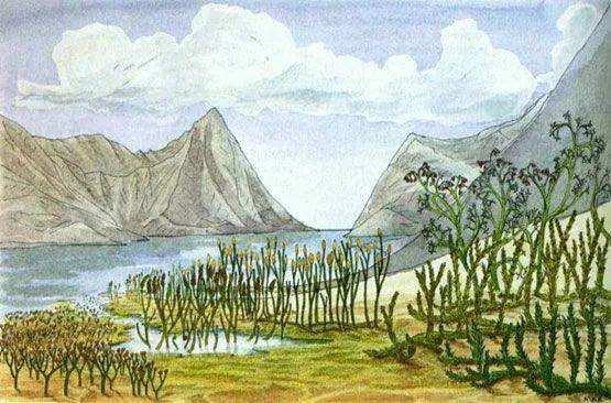 贵州|古生物学家在贵州发现远古珊瑚礁，原来3亿年前这一带都是大海