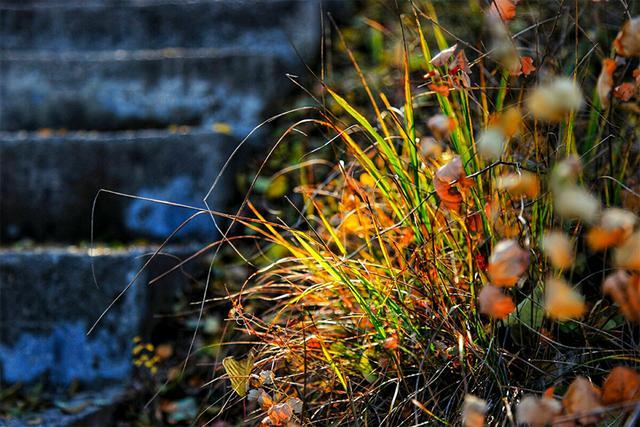 秋分|阴阳相伴，昼夜均分