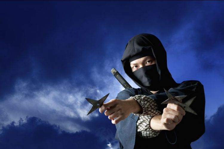 伊贺忍者干的日本甲贺忍者村寿司店内检出寄生虫就餐男子入院