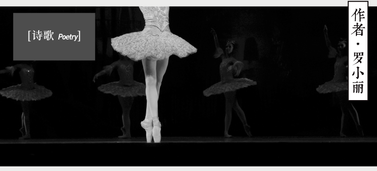 罗小丽|罗小丽：芭蕾舞·睡美人