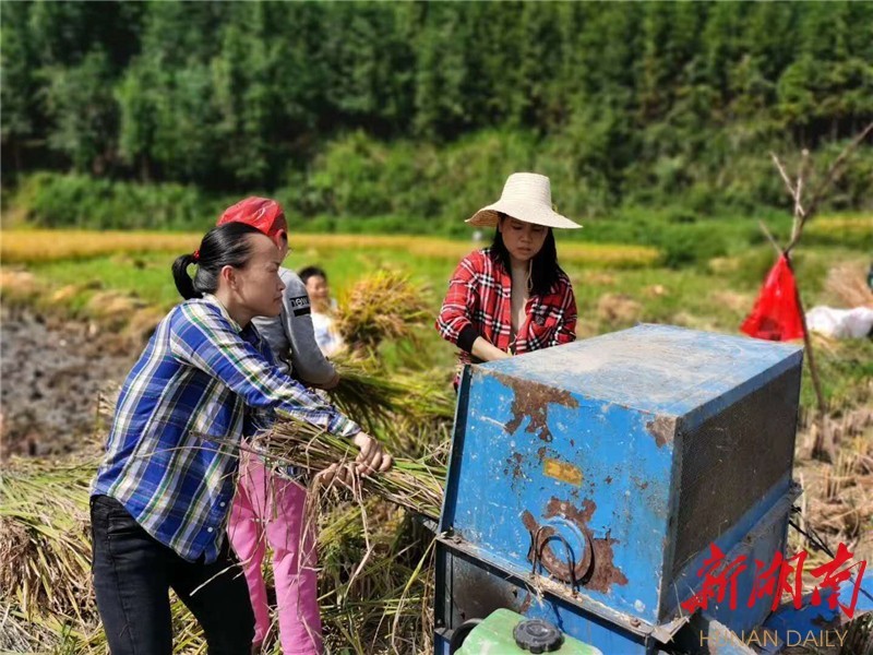 新湖南客户端9月22日(通讯员 彭朝超)9月上旬以来,湘西土家族苗族自治