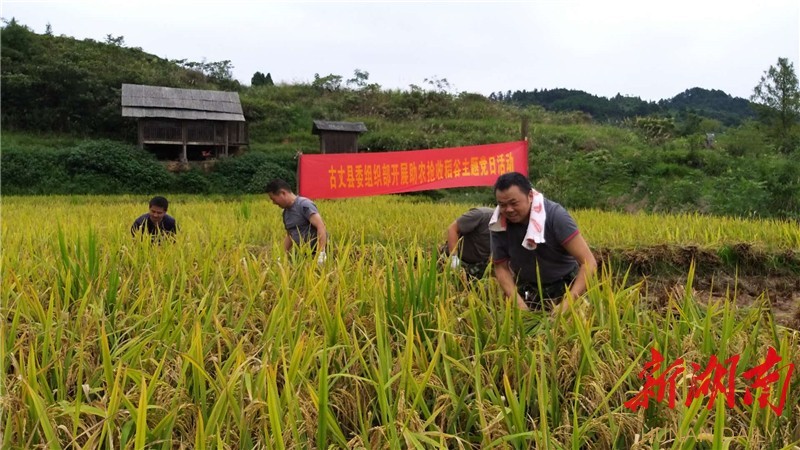 新湖南客户端9月22日(通讯员 彭朝超)9月上旬以来,湘西土家族苗族自治