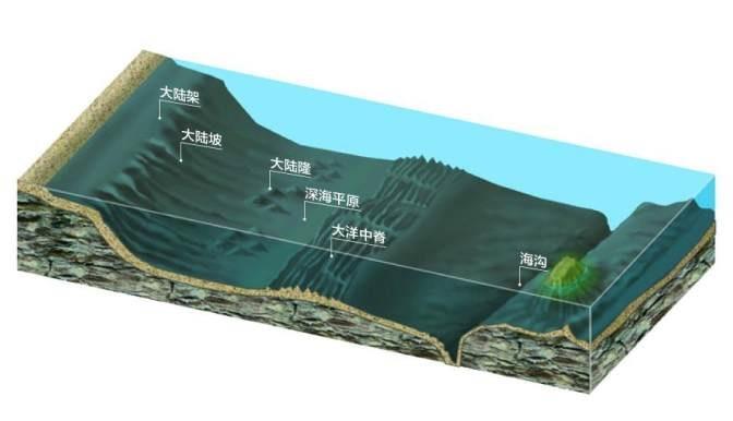 鱼类|在广阔的海洋中，为什么有些海域渔业资源特别丰富，形成渔场？