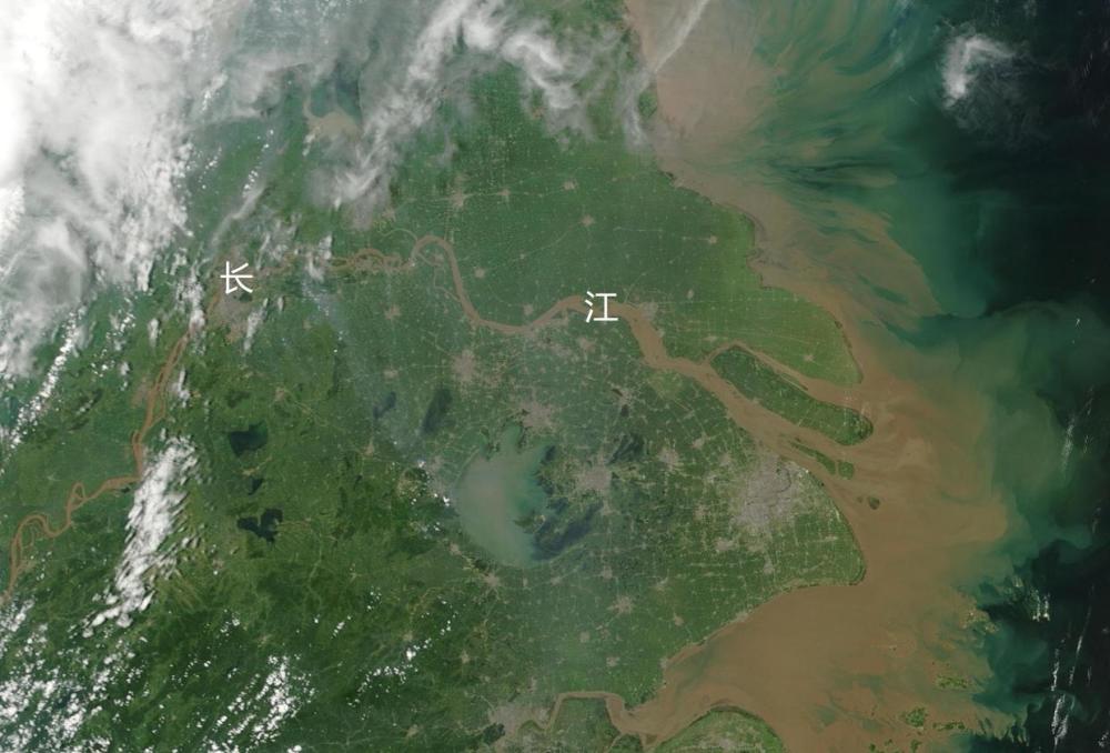 鱼类|在广阔的海洋中，为什么有些海域渔业资源特别丰富，形成渔场？