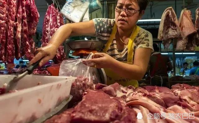 生猪|北方“涨”声再起，难道二师兄又要“起飞”了？4大拦路虎！