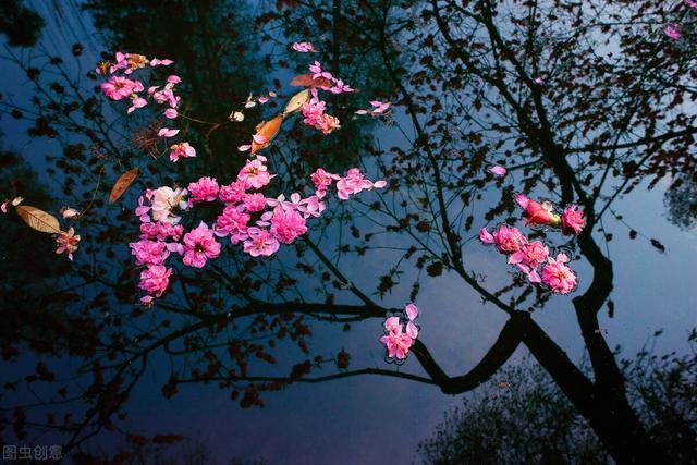 江波|梦半天门月满苔，长居帝座又何哀