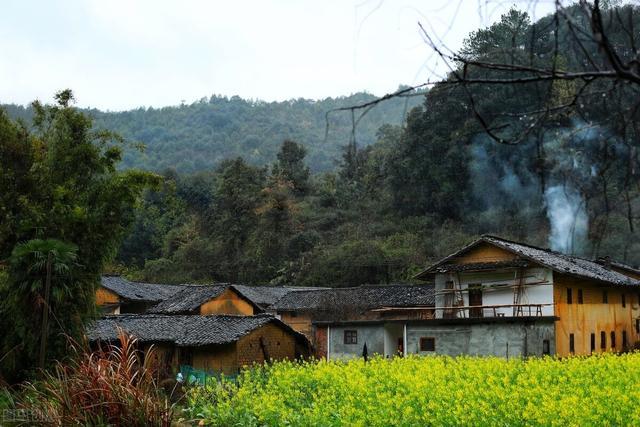 江波|梦半天门月满苔，长居帝座又何哀