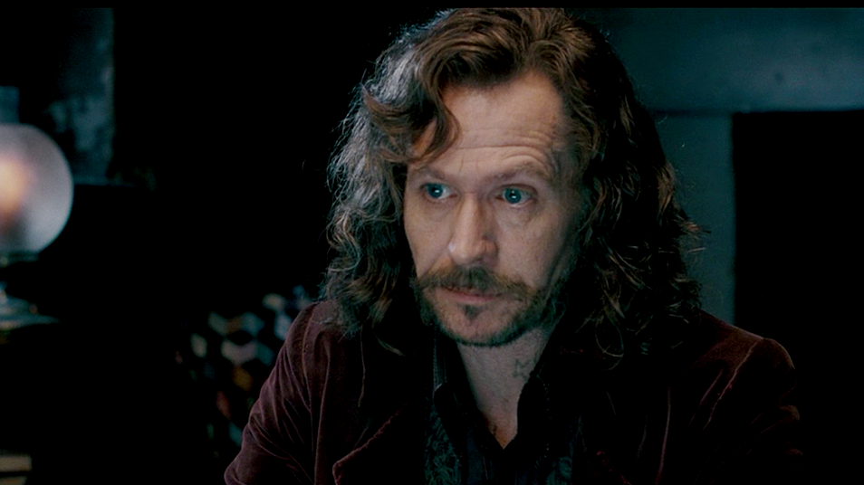 哈利波特没有感情线的小天狼星会喜欢什么样的女孩呢