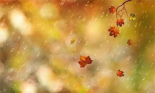 秋雨|10首秋雨诗词：一声梧叶一声秋