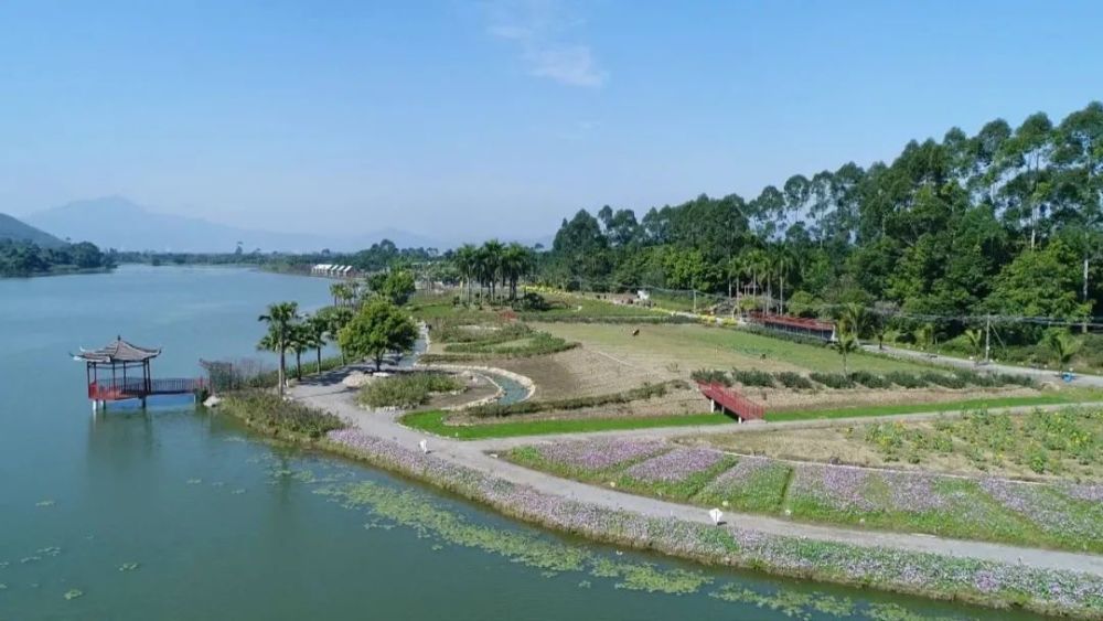 鼎湖沙浦全力打造特色旅游小镇建设文明美丽乡村