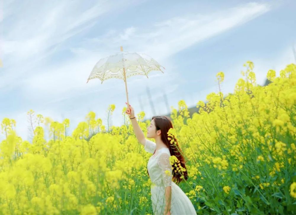 寒山子|世界上最好的一段话