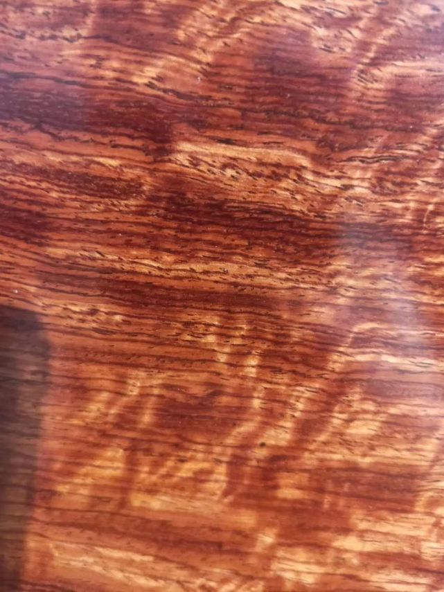 下一个黄花梨 缅甸花梨的材质 背景及资源 黄花梨 缅甸花梨 红木家具 大果紫檀 大红酸枝 家具