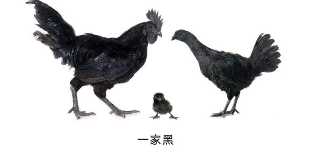 冷知识|23个冷知识：可能很难理解，但却真实的存在着