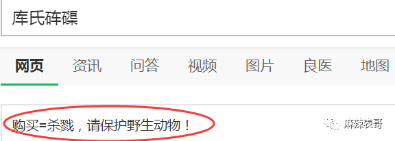 极限挑战|做错事后装怂又甩锅，你们这算是什么呢？