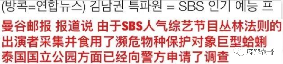 极限挑战|做错事后装怂又甩锅，你们这算是什么呢？