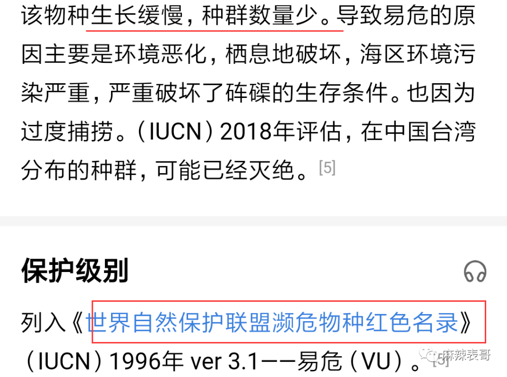 极限挑战|做错事后装怂又甩锅，你们这算是什么呢？