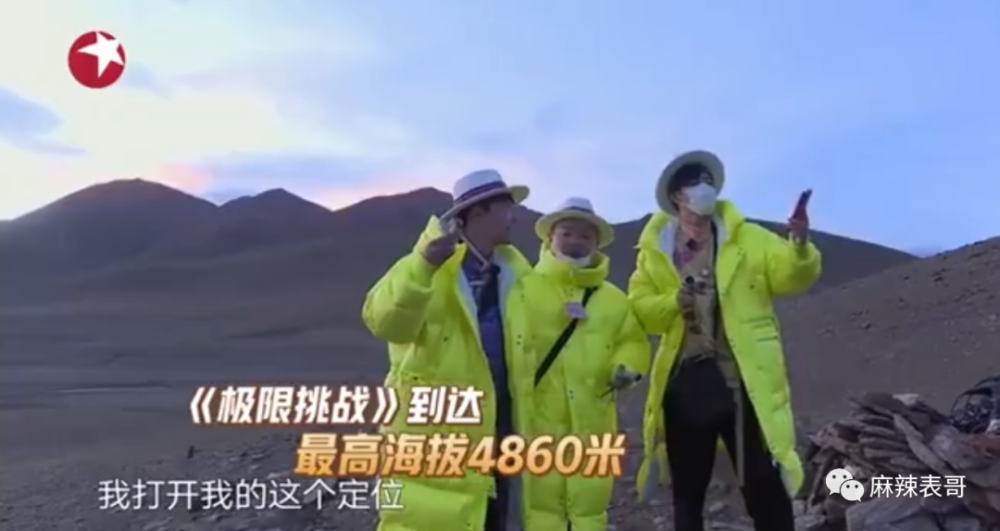 极限挑战|做错事后装怂又甩锅，你们这算是什么呢？