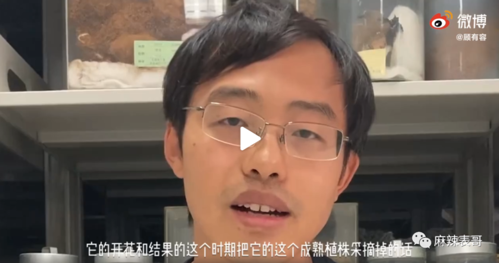 极限挑战|做错事后装怂又甩锅，你们这算是什么呢？