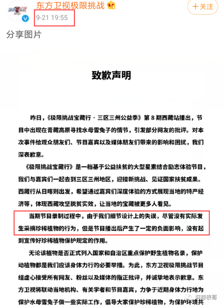 极限挑战|做错事后装怂又甩锅，你们这算是什么呢？
