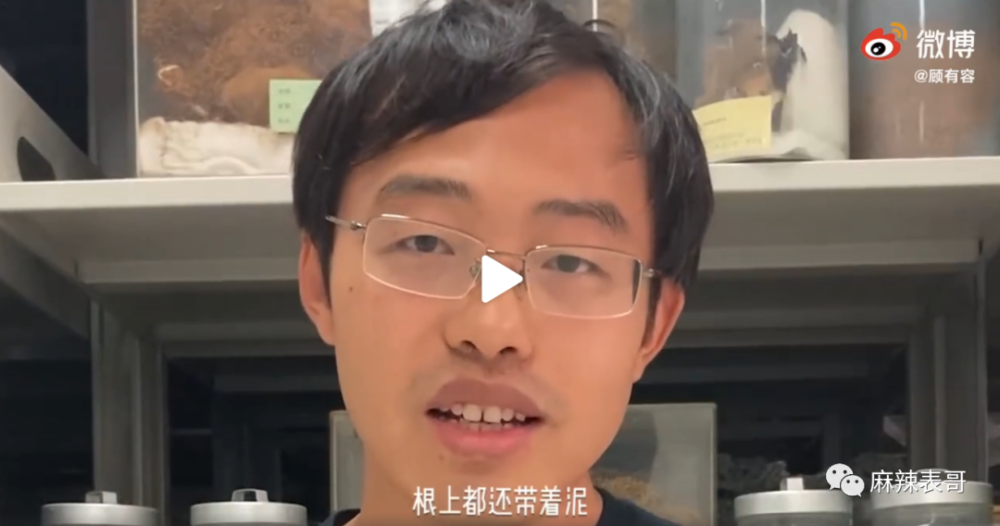 极限挑战|做错事后装怂又甩锅，你们这算是什么呢？