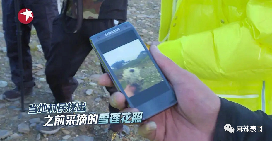 极限挑战|做错事后装怂又甩锅，你们这算是什么呢？