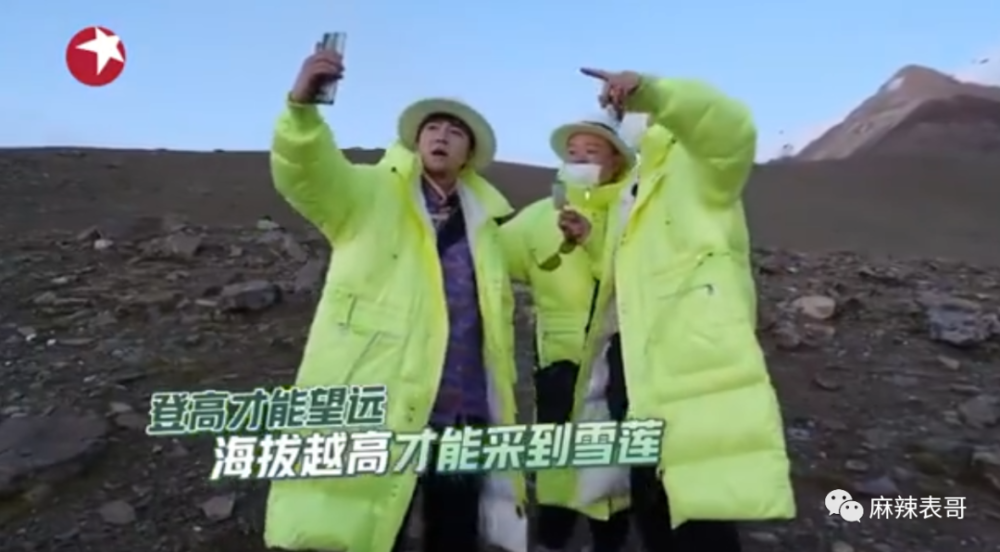 极限挑战|做错事后装怂又甩锅，你们这算是什么呢？