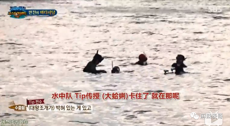 极限挑战|做错事后装怂又甩锅，你们这算是什么呢？